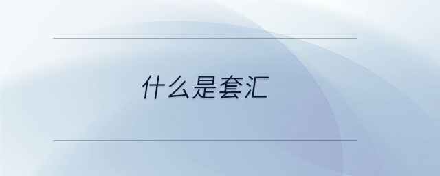 什么是套匯 什么是套匯