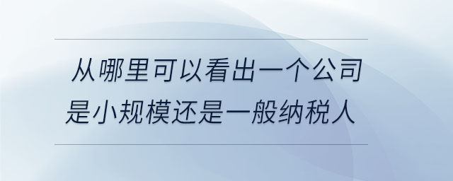 從哪里可以看出一個公司是小規(guī)模還是一般納稅人 從哪里可以看出一個公司是小規(guī)模還是一般納稅人