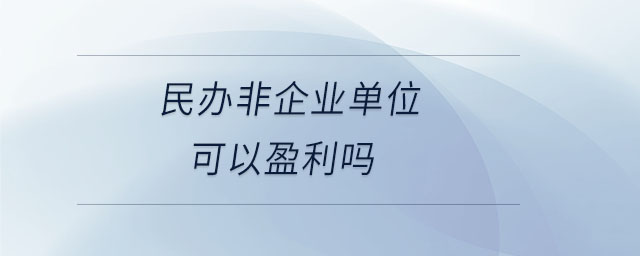 民辦非企業(yè)單位可以盈利嗎 民辦非企業(yè)單位可以盈利嗎