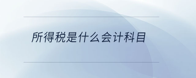 所得稅是什么會(huì)計(jì)科目 所得稅是什么會(huì)計(jì)科目