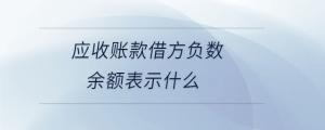 應收賬款借方負數(shù)余額表示什么