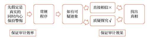 審計效率與效果的平衡，完成審計目標的需要2
