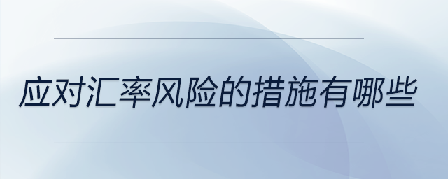 應(yīng)對匯率風(fēng)險(xiǎn)的措施有哪些