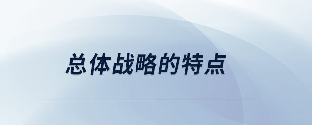 總體戰(zhàn)略的特點(diǎn)