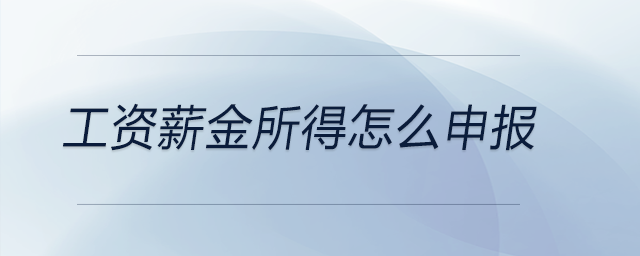 工資薪金所得怎么申報