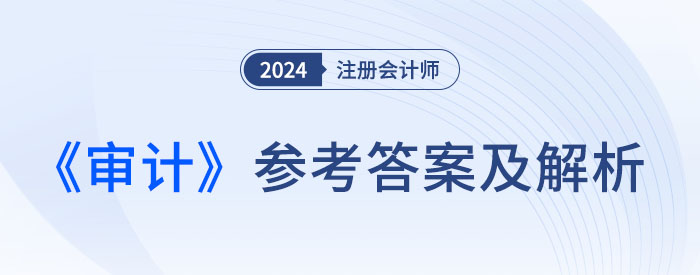 審計-大 審計-大