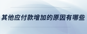 其他應付款增加的原因有哪些