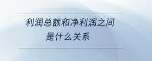 利潤總額和凈利潤之間是什么關系