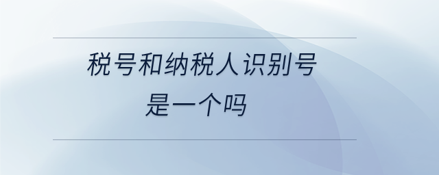 稅號(hào)和納稅人識(shí)別號(hào)是一個(gè)嗎 稅號(hào)和納稅人識(shí)別號(hào)是一個(gè)嗎