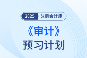 抓住備考主線，遠(yuǎn)離無效預(yù)習(xí)！25年注會《審計》預(yù)習(xí)計劃打卡