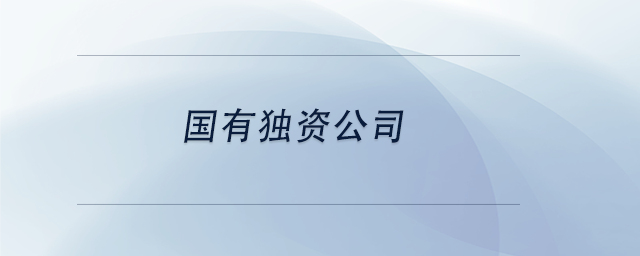 中級(jí)會(huì)計(jì)國(guó)有獨(dú)資公司