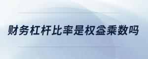 財務(wù)杠桿比率是權(quán)益乘數(shù)嗎
