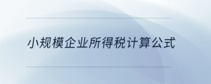 小規(guī)模企業(yè)所得稅計算公式