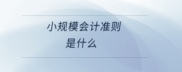 小規(guī)模會計準(zhǔn)則是什么