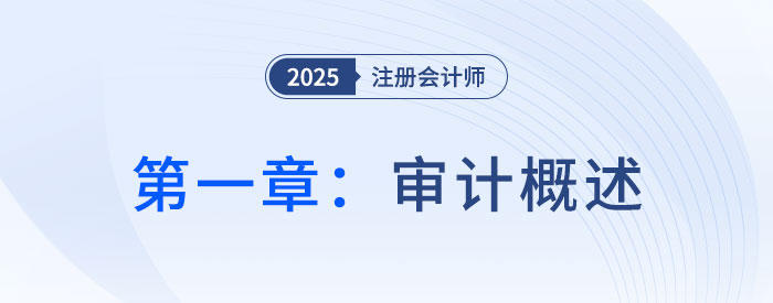 第一章審計(jì)概述_2025年注會審計(jì)搶學(xué)記憶樹