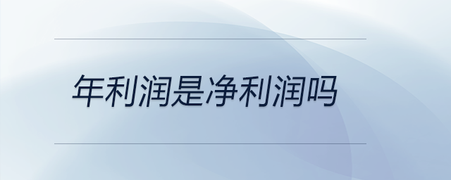 年利潤(rùn)是凈利潤(rùn)嗎