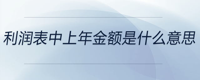 利潤表中上年金額是什么意思 利潤表中上年金額是什么意思