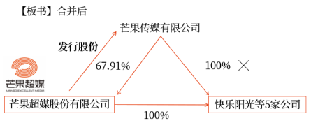 企業(yè)合并形成的長期股權投資