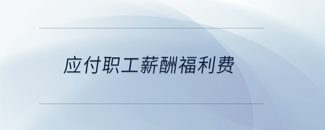 應付職工薪酬福利費 應付職工薪酬福利費
