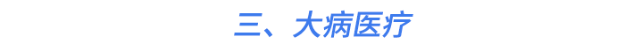 三、大病醫(yī)療