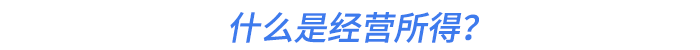 什么是經(jīng)營(yíng)所得？