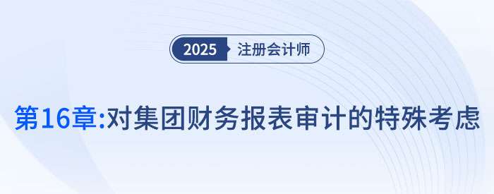 第十六章對集團財務(wù)報表審計的特殊考慮_2025年注會審計搶學(xué)記憶樹