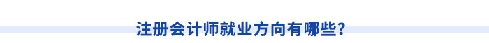 注冊會計師就業(yè)方向有哪些？