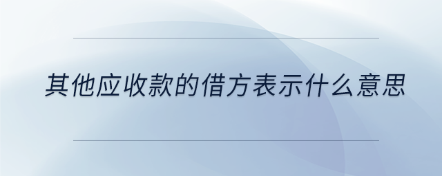 其他應(yīng)收款的借方表示什么意思 其他應(yīng)收款的借方表示什么意思