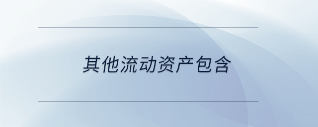 其他流動(dòng)資產(chǎn)包含 其他流動(dòng)資產(chǎn)包含