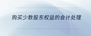 購買少數(shù)股東權益的會計處理