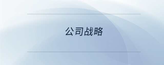 公司戰(zhàn)略 公司戰(zhàn)略