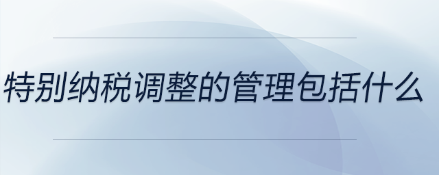 特別納稅調(diào)整的管理包括什么 特別納稅調(diào)整的管理包括什么