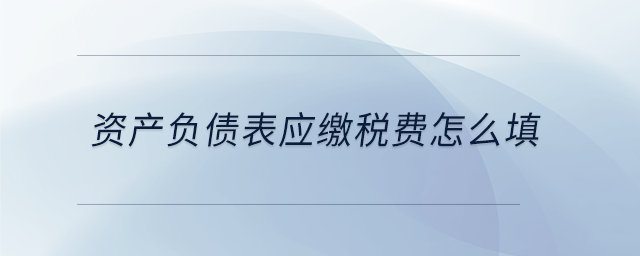 資產(chǎn)負債表應繳稅費怎么填 資產(chǎn)負債表應繳稅費怎么填
