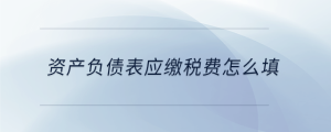 資產(chǎn)負(fù)債表應(yīng)繳稅費(fèi)怎么填