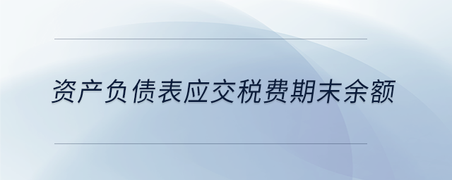 資產(chǎn)負(fù)債表應(yīng)交稅費(fèi)期末余額