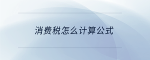消費(fèi)稅怎么計(jì)算公式