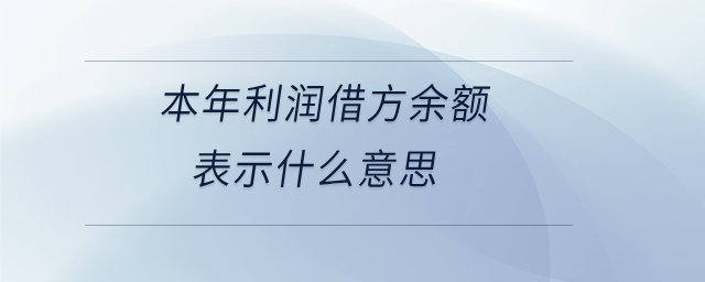本年利潤借方余額表示什么意思
