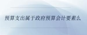 預算支出屬于政府預算會計要素么