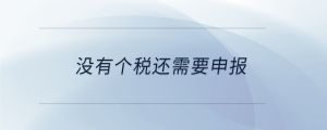 沒(méi)有個(gè)稅還需要申報(bào)