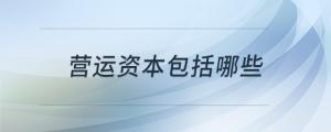 營運資本包括哪些