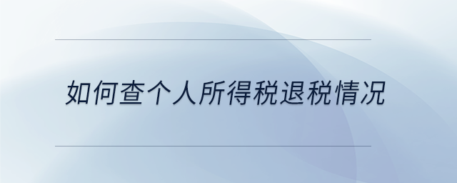 如何查個(gè)人所得稅退稅情況 如何查個(gè)人所得稅退稅情況