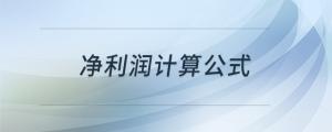 凈利潤(rùn)計(jì)算公式
