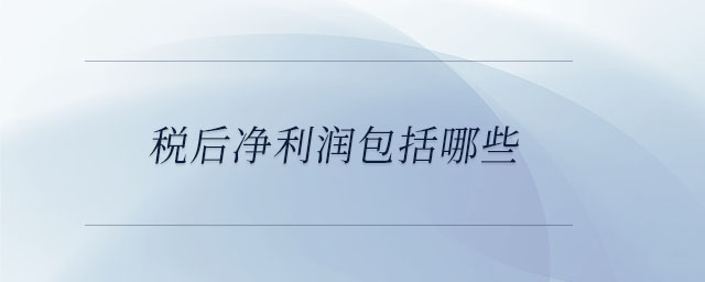 稅后凈利潤包括哪些
