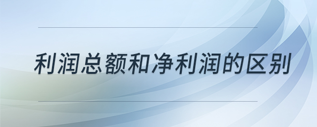 利潤總額和凈利潤的區(qū)別