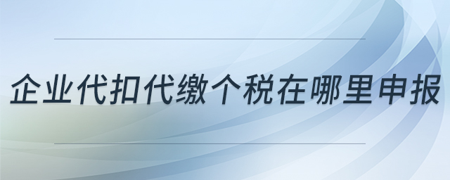企業(yè)代扣代繳個稅在哪里申報