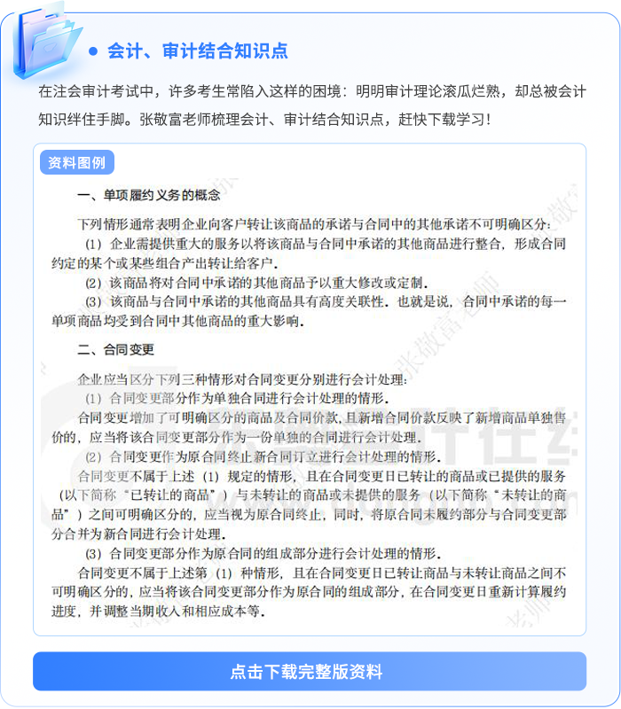 資料板塊-會計審計結合