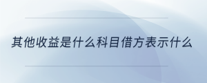 其他收益是什么科目借方表示什么