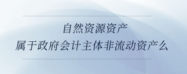 自然資源資產(chǎn)屬于政府會(huì)計(jì)主體非流動(dòng)資產(chǎn)么