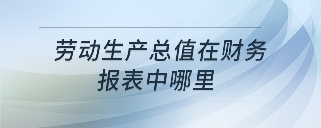 勞動(dòng)生產(chǎn)總值在財(cái)務(wù)報(bào)表中哪里