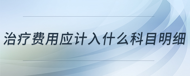 治療費用應(yīng)計入什么科目明細 治療費用應(yīng)計入什么科目明細